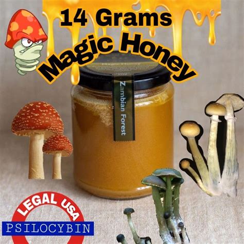 Sampling the Supernatural: Where to Get Your Hands on Magic Honey